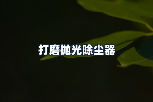 打磨抛光除尘器